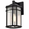 Nuvo Raiden Outdoor Small Wall Lantern 1 Light Matte Black 60/5760